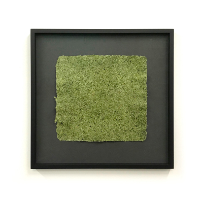 Algae Paper in frame (black exemplar), 43 x 44,4 cm.