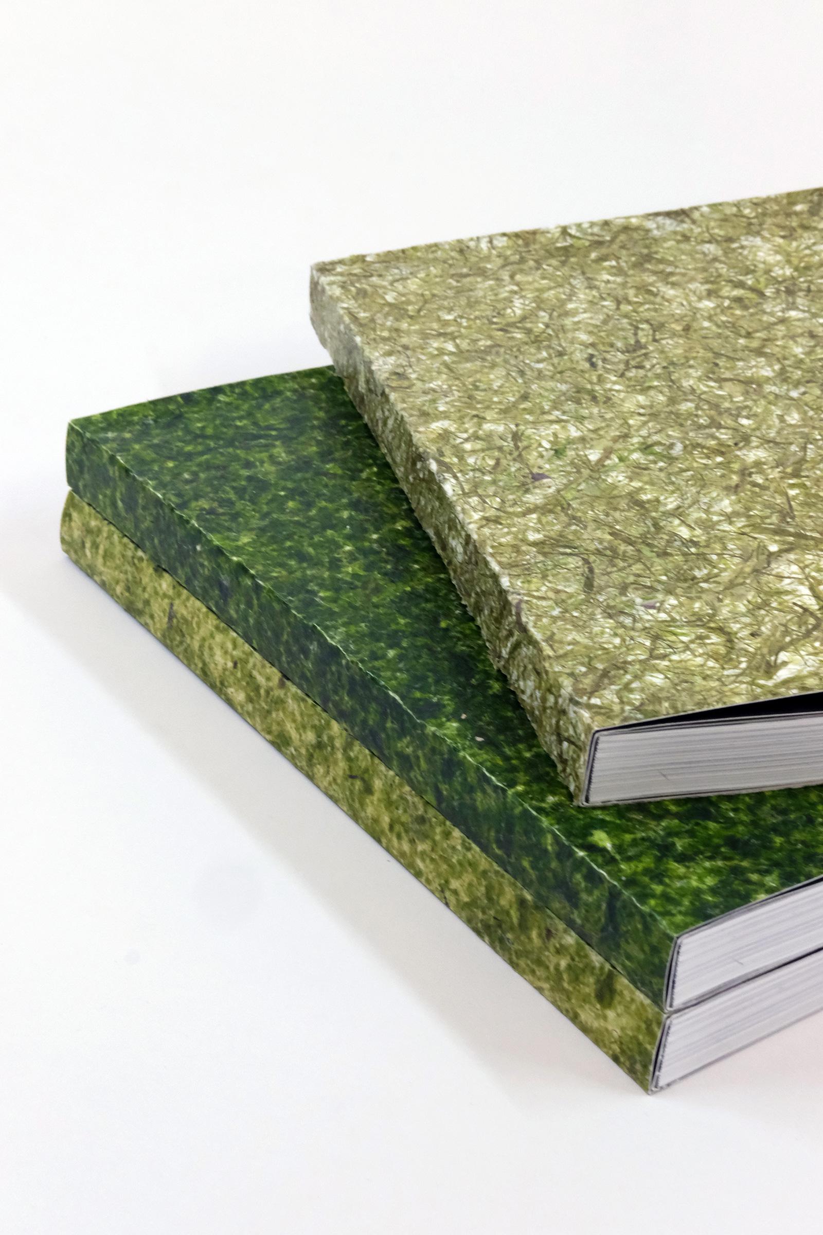 The Algae paper / Book