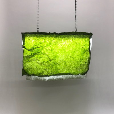 Algae Lamp (prototype model #2), 70 x 50 cm.