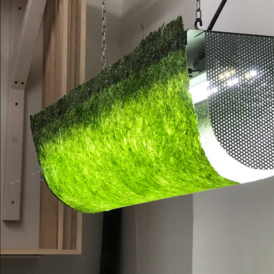 Algae Lamp (prototype model #1), 70 x 15 x 20 cm.